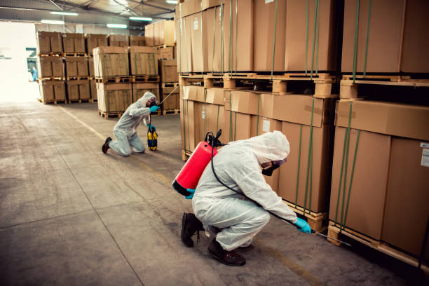 Best Cockroach Control Services  in Inverness, FL