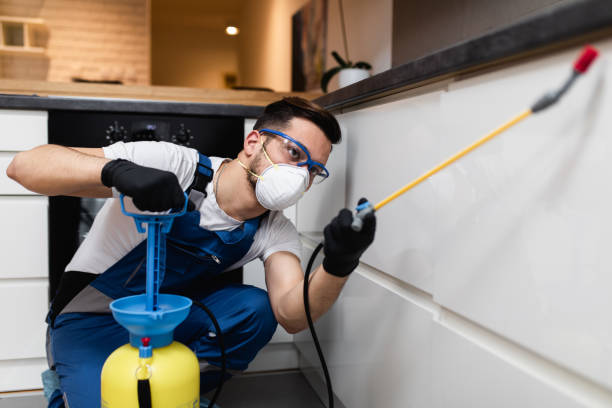 Best Wasp Removal Services  in Inverness, FL