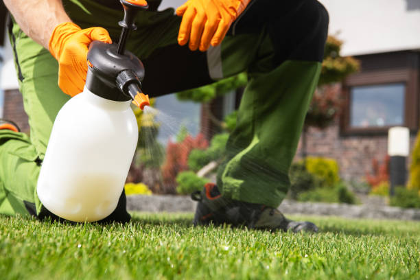 Pest Control Cost in Inverness, FL