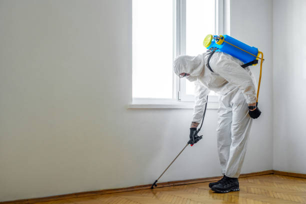 Professional Pest Control in Inverness, FL