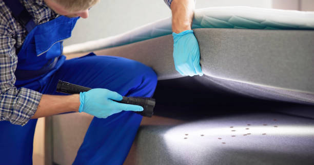 Best Residential Pest Control  in Inverness, FL