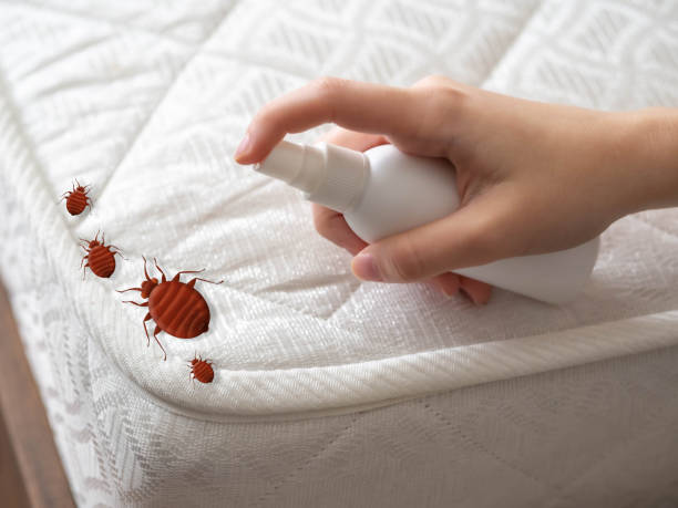 Best Bed Bug Extermination  in Inverness, FL