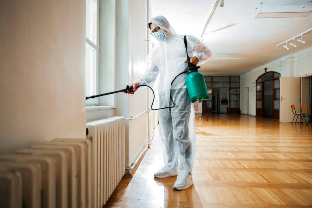 Best Affordable Pest Control Services  in Inverness, FL