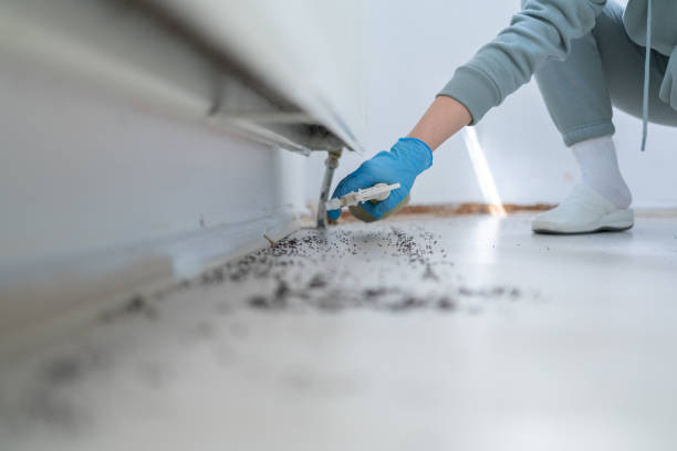 Best Pest Control Near Me  in Inverness, FL